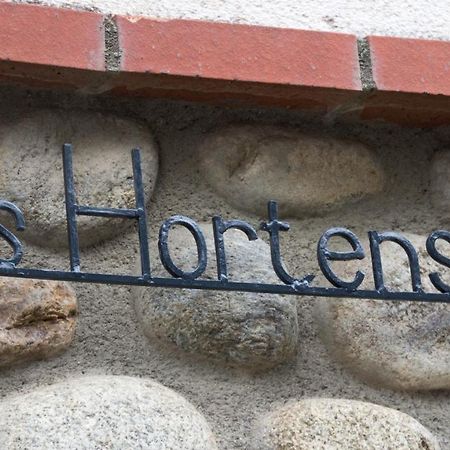 Les Hortensias Millas المظهر الخارجي الصورة